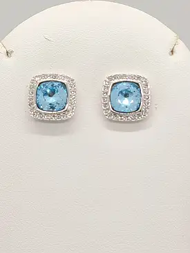 Blue Earrings Studs