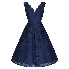 Jolie Moi Vintage Navy Blue Embroidered Lace Swing Dress